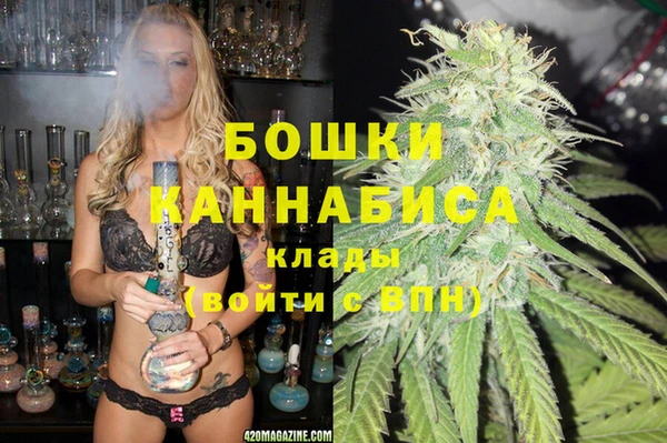 сатива Пересвет