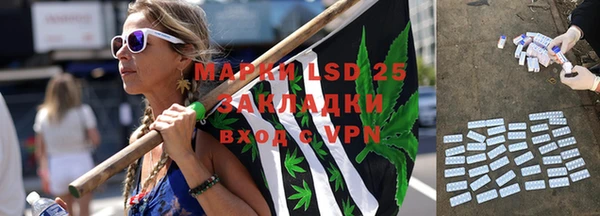 хмурый Пестово