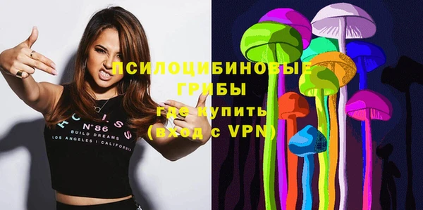 хмурый Пестово