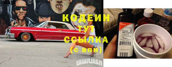 сатива Пересвет