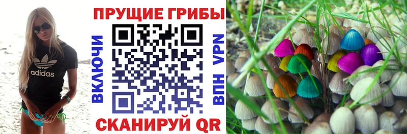 Псилоцибиновые грибы MAGIC MUSHROOMS  Купить закладки  Волгодонск 